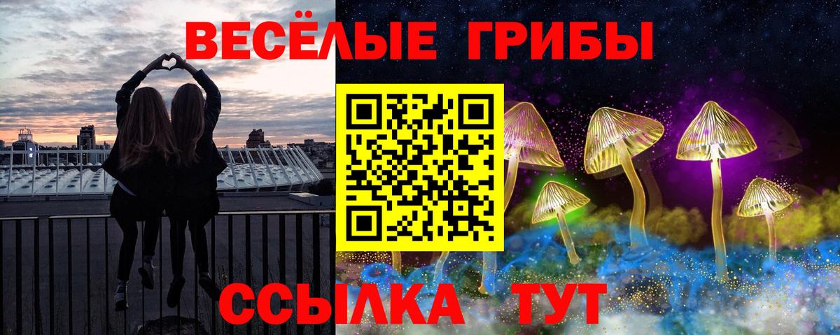 Луховицы  Псилоцибиновые грибы MAGIC MUSHROOMS  Вход с VPN 
